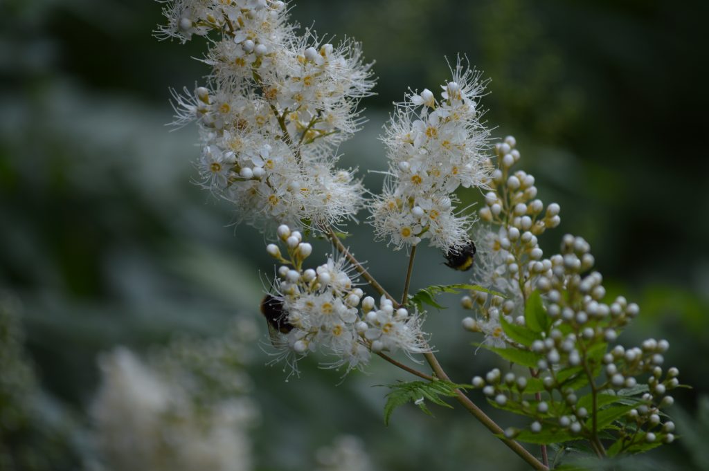 Pitkät luettelot omaa etua