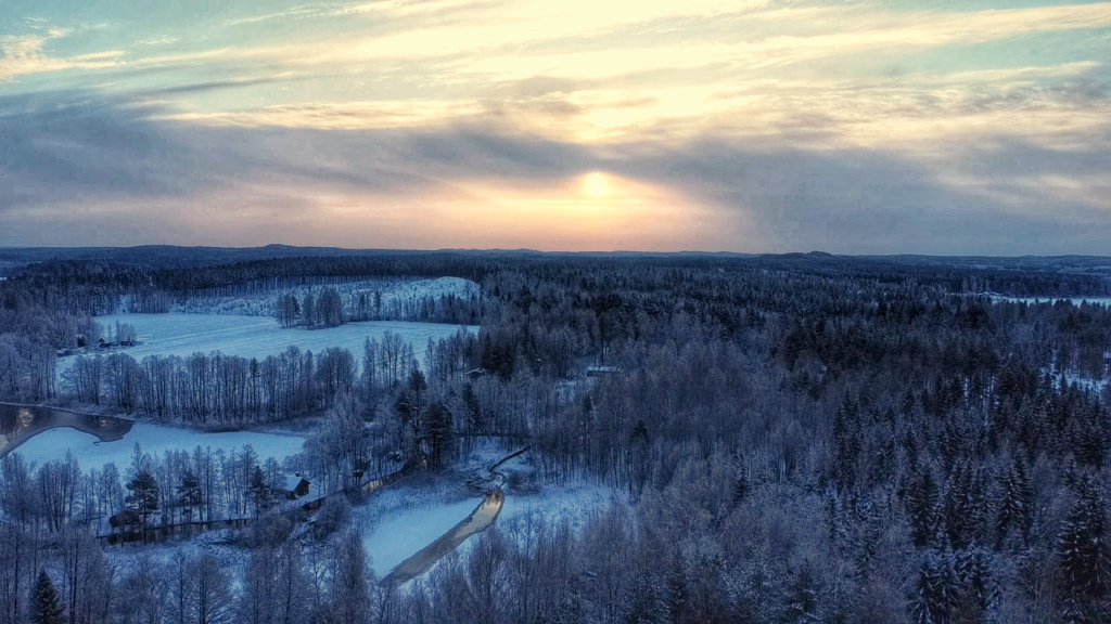 Sosiaalisen median koko